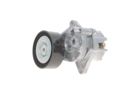 Натяжник ременя генератора MB Sprinter/Vito CDI OM611/612/646 SOLGY Solgy 110010