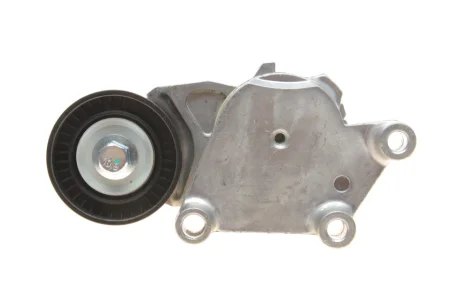 Натяжник ременя генератора Citroen/Peugeot/Ford 1.4HDi/1.6TDCi 01- SOLGY Solgy 110022