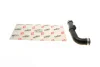 Патрубок інтеркулера (задній) (L) VW Golf V/Seat Leon 1.9TDI 03- SOLGY Solgy 114087 (фото 2)