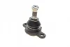 Опора кульова (передня/знизу) VW T4 90-96 SOLGY Solgy 203015 (фото 1)
