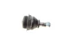 Опора кульова (передня/знизу) Citroen Berlingo/Peugeot Partner 1.4-2.0HDi 08- SOLGY Solgy 203021 (фото 2)