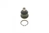 Опора кульова (передня/знизу) Renault Megane II/Scenic 02- (d=16mm) SOLGY Solgy 203047 (фото 1)
