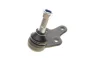 Опора кульова (передня/знизу) Ford Focus II 1.4-2.0TDCi 04-12/C-Max 07-10/Volvo C30/C70/S40 -02/06 SOLGY Solgy 203091 (фото 8)