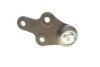 Опора кульова (передня/знизу) Ford Focus II 1.4-2.0TDCi 04-12/C-Max 07-10/Volvo C30/C70/S40 -02/06 SOLGY Solgy 203091 (фото 9)