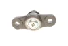 Опора кульова (передня/знизу) Kia Cee\'d/Hyundai i30 06-12/Elantra 00-06 SOLGY Solgy 203100 (фото 4)