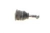 Опора кульова (передня/знизу) Nissan Primera/Sunny 86-02/Almera II 00- SOLGY Solgy 203109 (фото 5)