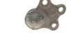 Опора кульова (передня/знизу) Renault Laguna III 07-15 SOLGY Solgy 203115 (фото 4)