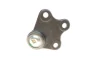 Опора кульова (передня/знизу/L) Audi A1 10-/Seat Ibiza 02-15/Skoda Fabia 99-14/Rapid 12-/VW Polo 01 SOLGY Solgy 203119 (фото 9)