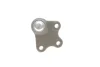 Опора кульова (передня/знизу/R) Audi A1 10-/Seat Ibiza 02-15/Skoda Fabia 99-14/Rapid 12-/VW Polo 01 SOLGY Solgy 203120 (фото 4)