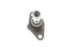 Опора кульова (передня/знизу) BMW X3 (E83) 03-11 SOLGY Solgy 203129 (фото 8)