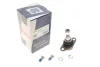 Опора кульова (передня/знизу) BMW 3 (E90/E91/E92) 05-13/X1 (E84) 09-15 SOLGY Solgy 203130 (фото 2)