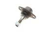 Опора кульова (передня/знизу) BMW 3 (E90/E91/E92) 05-13/X1 (E84) 09-15 SOLGY Solgy 203130 (фото 5)