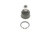 Опора кульова (передня/знизу) Hyundai Santa Fe I/II 00-/Kia Sorento II 02- SOLGY Solgy 203141 (фото 1)