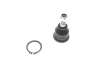 Опора кульова (передня) Hyundai Accent I/II 94-05/ Elantra 00-06/ Kia Cerato 04-/ Rio 11- SOLGY Solgy 203142 (фото 1)