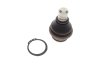 Фото 1 - опора кульова (передня/знизу) Nissan Navara/Pathfinder 04-14 Solgy 203156 Опора кульова (передня/знизу) Nissan Navara/Pathfinder 04-14 Solgy 203156 (фото 1)
