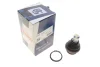 Опора кульова (передня/знизу) Nissan Navara/Pathfinder 04-14 SOLGY Solgy 203156 (фото 2)