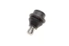 Опора кульова (передня/знизу) Nissan Navara/Pathfinder 04-14 SOLGY Solgy 203156 (фото 5)