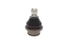 Опора кульова (передня/знизу) Nissan Navara/Pathfinder 04-14 SOLGY Solgy 203156 (фото 7)