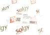 Рычаг подвески Solgy 204041 (фото 3)