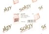 Рычаг подвески Solgy 204104 (фото 3)