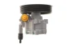 Насос ГПК Dacia Duster 1.5 dCi/1.6 16V 10- Solgy 207113 (фото 1)