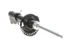 Амортизатор (передній) Renault Kangoo 08- R15/16 (maxi baza) (цапфа 36mm) (d22mm D51mm) (Газ) SOLGY Solgy 211045 (фото 12)