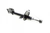 Амортизатор (задній) Renault Duster 1.5dCi 10- (4X4) (Газ) SOLGY Solgy 211157 (фото 1)