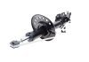 Амортизатор (передний) Nissan Qashqai 07-13 (L) Solgy 211174 (фото 5)