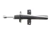 Амортизатор (задній) Ford Mondeo III 00-07 (Gas) SOLGY Solgy 211333 (фото 6)