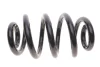 Пружина (передня) Opel Movano 1.9-3.0DTI/2.5CDTI/D/Renault Master 2.2-3.0dCi/1.9dTI/2.8dTI 98- SOLGY Solgy 212016 (фото 1)