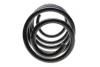 Пружина (передня) VW T5 1.9TDI/Multivan V 1.9 TDI 03-15 SOLGY Solgy 212022 (фото 4)