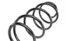 Пружина (передня) Renault Megane II 1.4-1.6 03-09 SOLGY Solgy 212023 (фото 2)