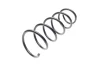 Пружина (передня) Dacia Duster 1.5dCi/1.5dCi 4x4 10-18/Renault Duster 1.5dCi 4x4 11- SOLGY Solgy 212071 (фото 1)