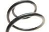 Пружина (передня) Ford Mondeo III 2.0-2.2TDCi/TDDi/DI 00-07 (седан/унив/нак.зад.ч)(без спорт.ход.ч) SOLGY Solgy 212090 (фото 2)