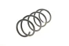 Пружина (передня) Renault Megane II 1.9dCi/2.0/2.0 16V/2.0dCi 02-09 SOLGY Solgy 212113 (фото 3)
