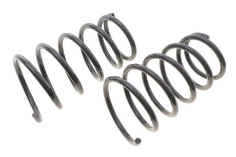 Пружина (задня) Nissan X-Trail 2.0/2.0 4x4/2.2DCi/Di/2.5 4x4 01-13 Solgy 212134