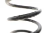 Пружина (задня) Ford C-Max 1.6-2.0/1.6-2.0TDCI 07-10 Solgy 212139 (фото 3)