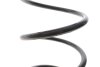 Пружина (передня) Renault Kangoo 1.2/1.2 16V 97- Solgy 212140 (фото 3)