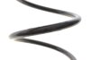 Фото 3 - пружина (задня) Renault Laguna III 1.5dCi/2.0dCi/1.6 16V/2.0 16V 07-15 Solgy 212143 Пружина (задня) Renault Laguna III 1.5dCi/2.0dCi/1.6 16V/2.0 16V 07-15 Solgy 212143 (фото 3)