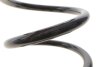 Пружина (задня) Nissan Qashqai 1.5dCi/1.6/dCi/2.0/dCi 07-14 Solgy 212147 (фото 3)