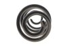 Пружина (задня) Nissan Qashqai 1.5dCi/1.6/dCi/2.0/dCi 07-14 Solgy 212147 (фото 4)