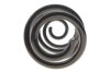 Пружина (задня) Nissan Qashqai 1.5dCi/1.6/dCi/2.0/dCi 07-14 Solgy 212147 (фото 5)