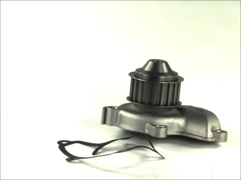 Насос охолоджуючої рідини, з ущільненням NISSAN SUNNY I, SUNNY II, SUNNY III 1.7D 03.82-03.00 THERMOTEC D11028TT (фото 1)