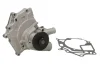 Насос охолоджуючої рідини, з ущільненням NISSAN SERENA, VANETTE CARGO 2.3D 09.94-05.02 THERMOTEC D11057TT (фото 2)