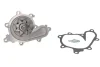 Насос охолоджуючої рідини, з ущільненням NISSAN CABSTAR, NAVARA, NAVARA NP300, NP300, NT400 CABSTAR, PATHFINDER III, PICK UP 2.5D 11.01- THERMOTEC D11084TT (фото 1)