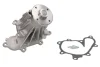 Насос охолоджуючої рідини, з ущільненням NISSAN CABSTAR, NAVARA, NAVARA NP300, NP300, NT400 CABSTAR, PATHFINDER III, PICK UP 2.5D 11.01- THERMOTEC D11084TT (фото 2)