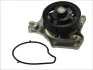 Насос охолоджуючої рідини, з ущільненням MAZDA 2, 3 1.3-2.0 10.03-05.19 THERMOTEC D13041TT (фото 2)