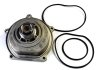 Насос охолоджуючої рідини, з ущільненням HONDA ACCORD V, ACCORD VI, CIVIC VI LAND ROVER DISCOVERY I, FREELANDER I MG MG ZR, MG ZS ROVER 200, 200 II, 25 I, 400, 400 II 2.0/2.0D/4.6 10.88-10.06 THERMOTEC D14031TT (фото 1)