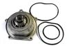 Насос охолоджуючої рідини, з ущільненням HONDA ACCORD V, ACCORD VI, CIVIC VI LAND ROVER DISCOVERY I, FREELANDER I MG ZR, ZS ROVER 200, 200 II, 25 I, 400, 400 II, 45 I 2.0/2.0D/4.6 10.88-10.06 THERMOTEC D14031TT (фото 1)