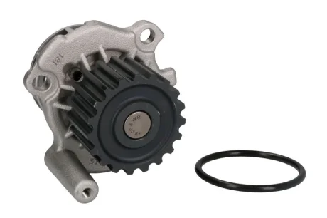 Насос охолоджуючої рідини, з ущільненням AUDI A3, A4 B5, A4 B6, A6 C5 FORD B-MAX, C-MAX II, ECOSPORT, GALAXY I, GALAXY MK I SEAT ALHAMBRA, LEON, TOLEDO II SKODA OCTAVIA I 1.4-2.0D 03.95- THERMOTEC D1A024TT